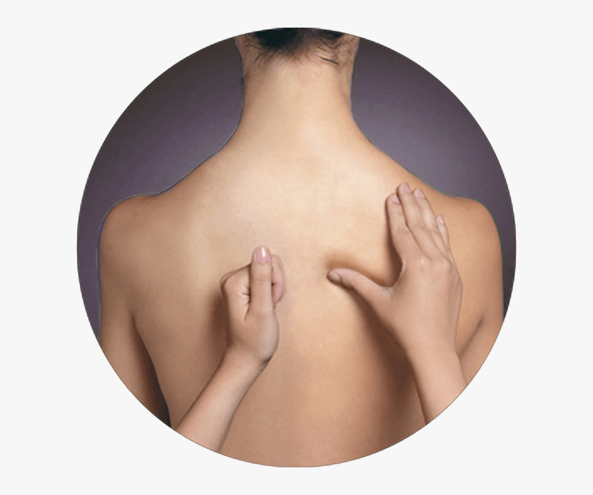 Back Massage Transparent, HD Png Download