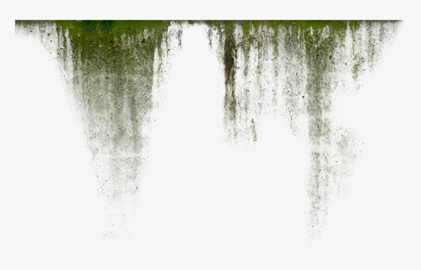 Dirt Png Hd, Transparent Png