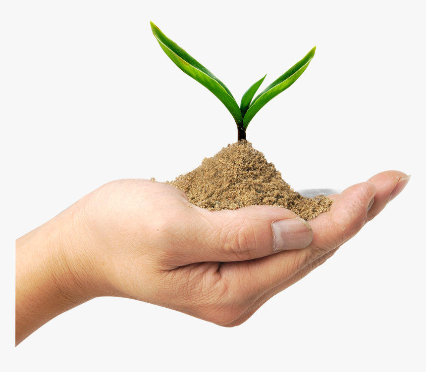 Soil In Kerala, HD Png Download