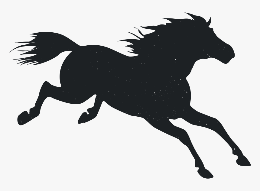 Mustang Pony Animal - Stallion, HD Png Download