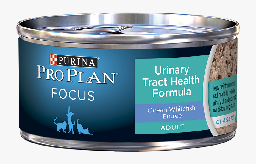 Cat Food, HD Png Download