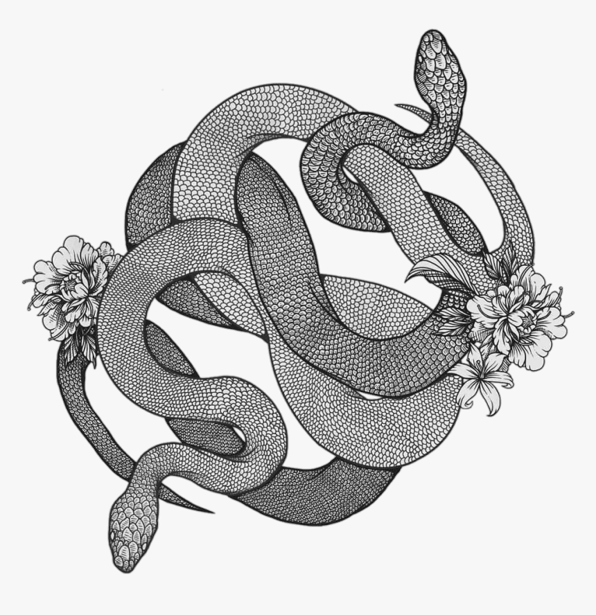 #tumblr #sneak #tatto - Serpent, HD Png Download