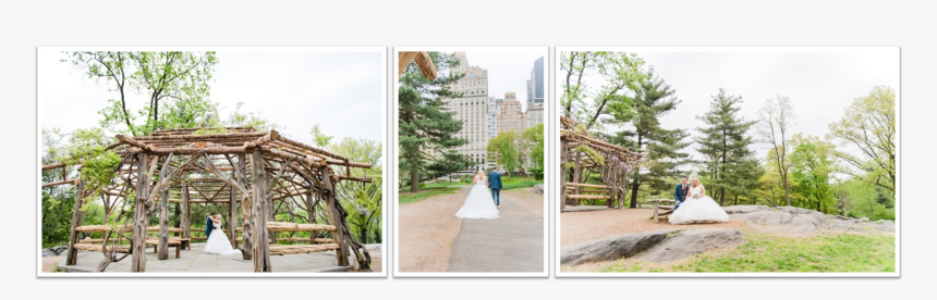 Photograph, HD Png Download