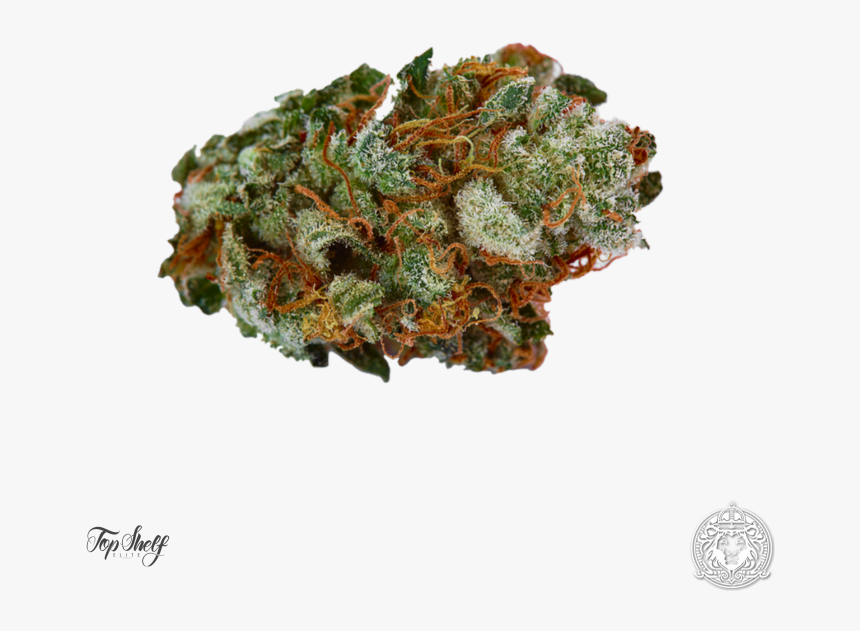 Fruit, HD Png Download