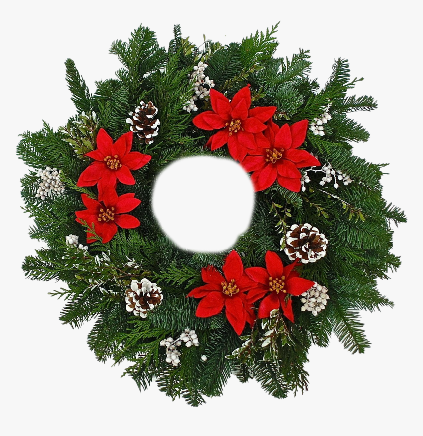 Fresh Poinsettias Png Hd - Wreath, Transparent Png