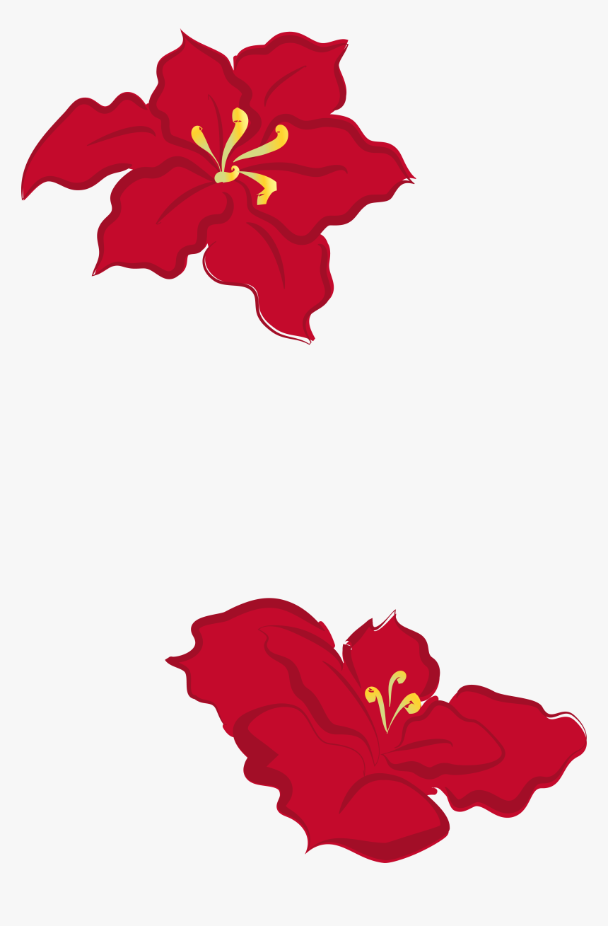 Collection Of Free Poinsettia Drawing Cute Download, HD Png Download