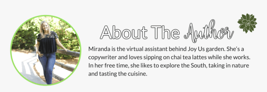 Calligraphy, HD Png Download