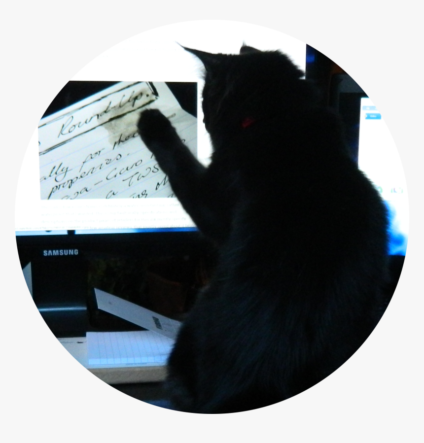 Transparent Ink Smudge Png - Black Cat, Png Download