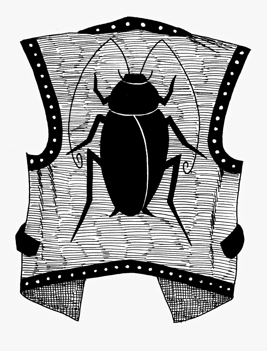 Leaf Beetle, HD Png Download