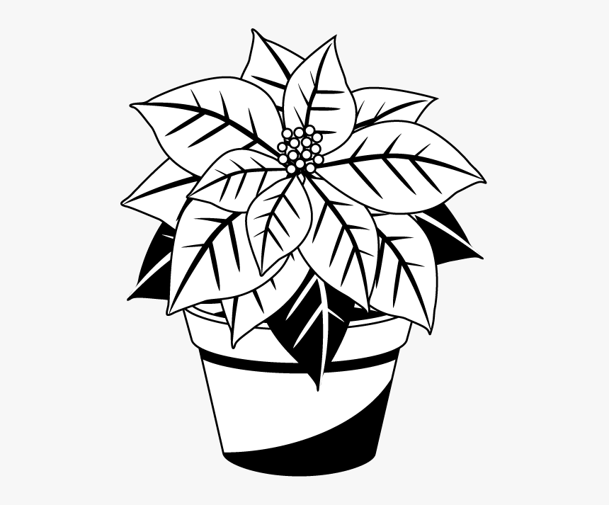 Poinsettia Cliparts Free - Poinsettia Black And White, HD Png Download