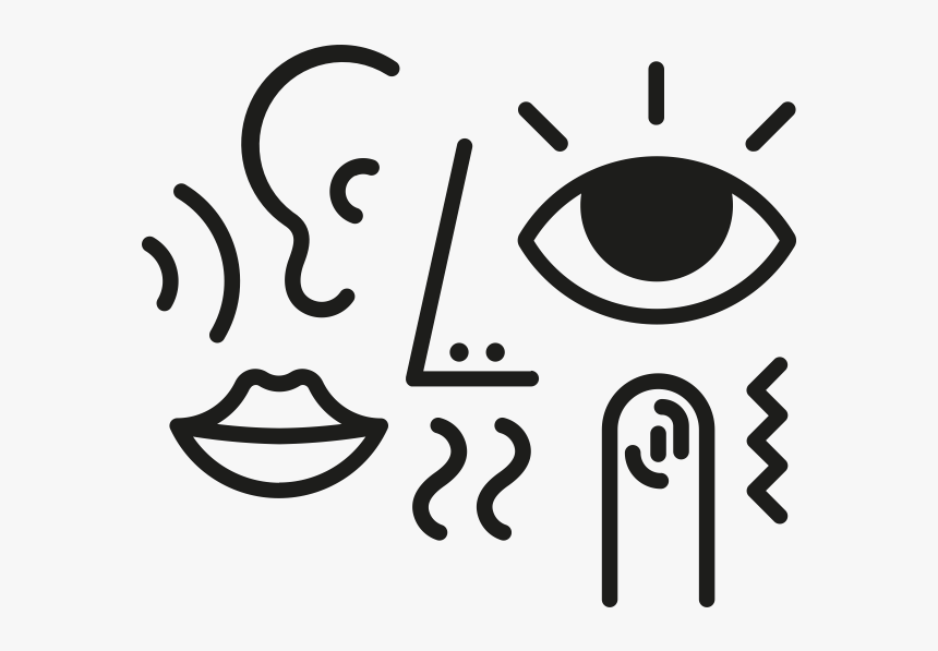 Sensory Memory, HD Png Download