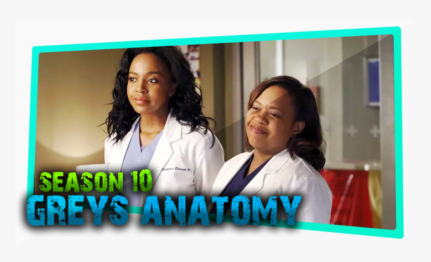 Bailey De Greys Anatomy, HD Png Download