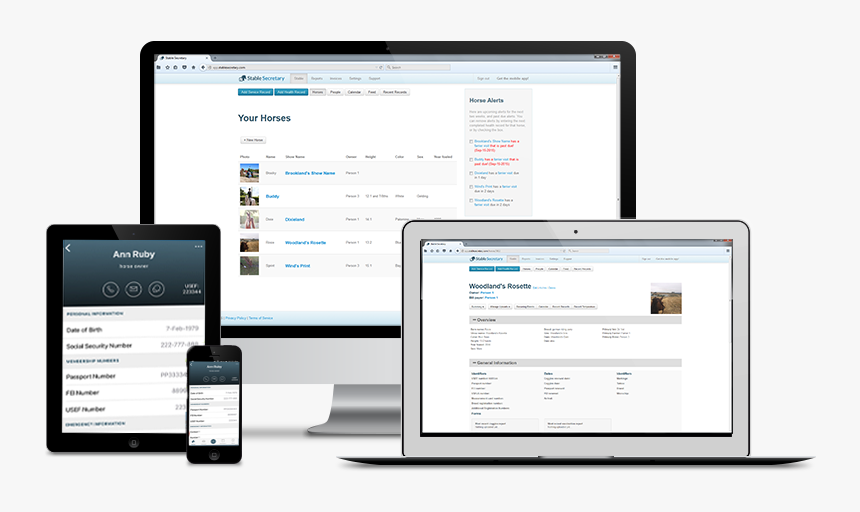 Horse Management Software, HD Png Download