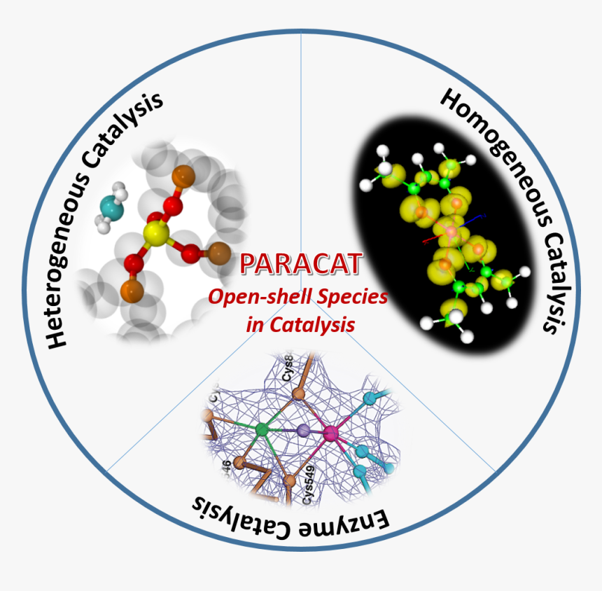 Circle, HD Png Download
