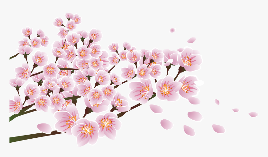 Download Flower Floral Design Blossom - 매화 복숭아 꽃 일러스트, HD Png Download