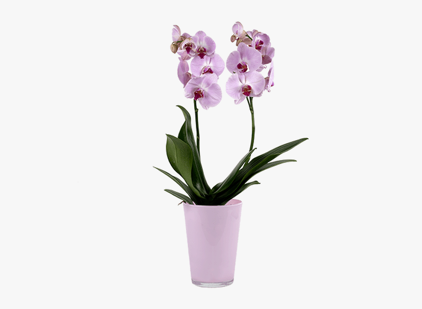 Artificial Flower, HD Png Download