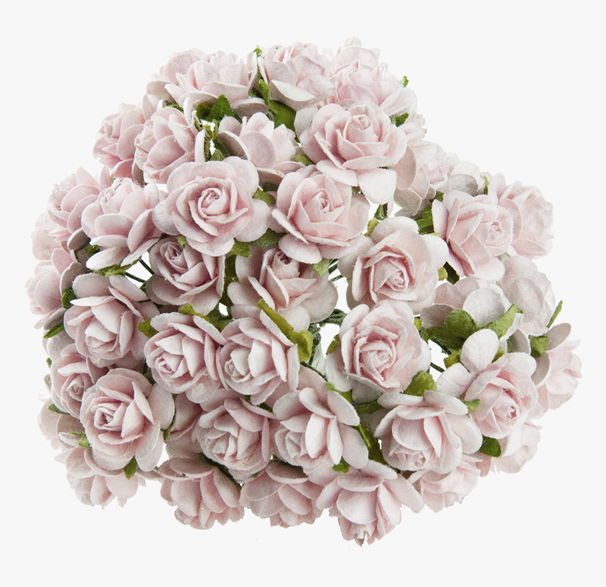 Garden Roses, HD Png Download