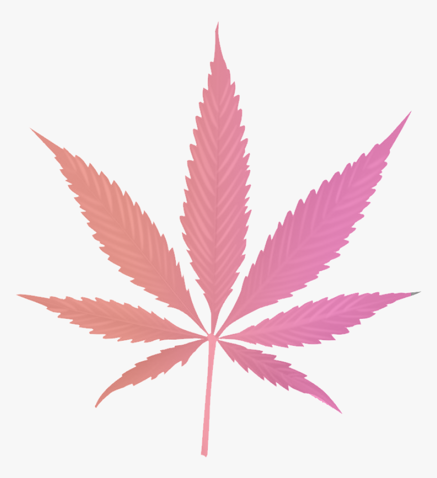 Paradiso Gardens Sativa Hybrid Leaf - Pot Leaf, HD Png Download