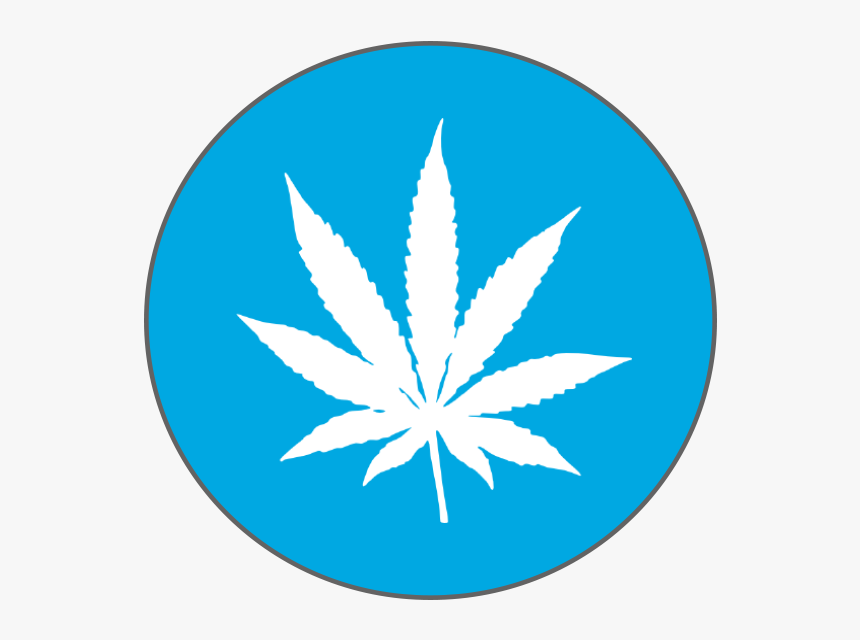 White Weed Leaf No Background, HD Png Download