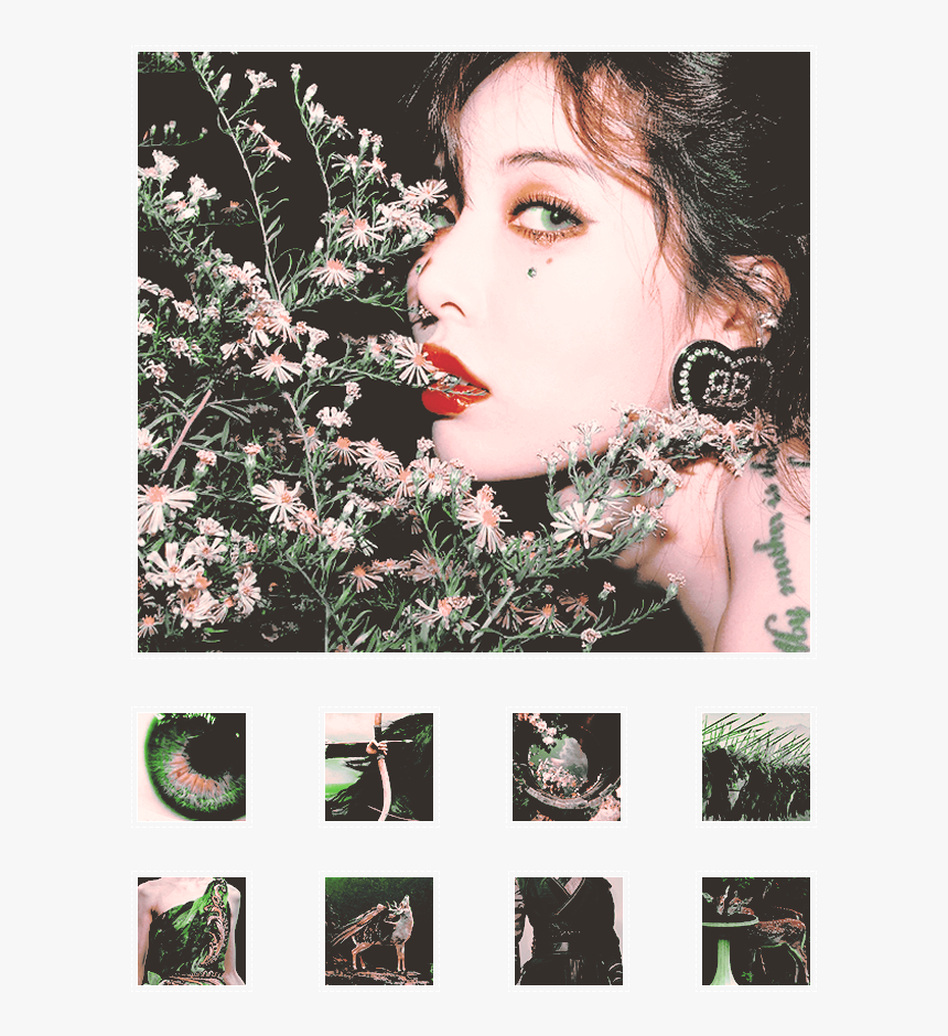 Hyuna Flower Shower, HD Png Download