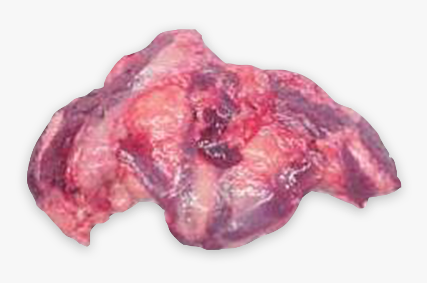 Venison, HD Png Download