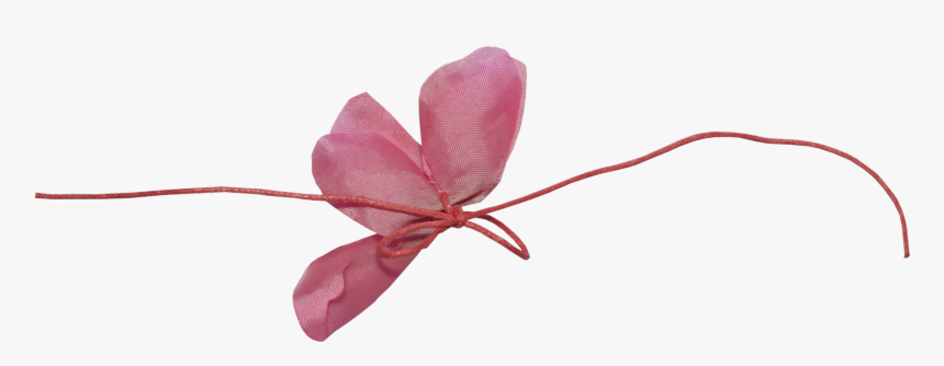 Marcos De Amistad Para Paginas, HD Png Download