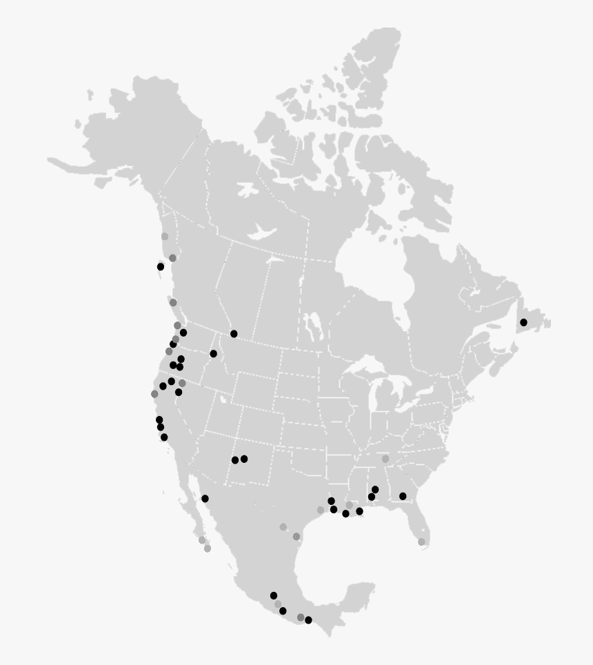 Do Mountain Goats Live, HD Png Download