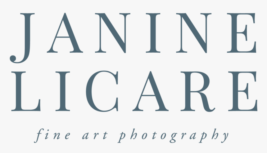 Janine Licare Photography Full Logo 01, HD Png Download