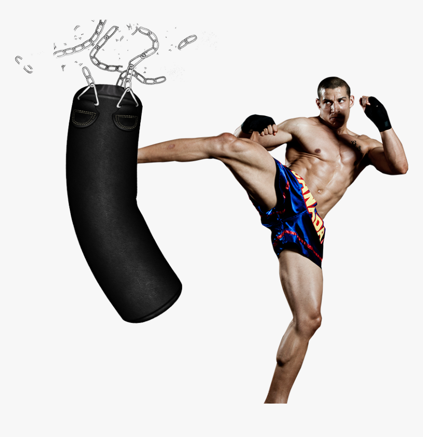 Thumb Image - Muay Thai Wall Punching Target, HD Png Download