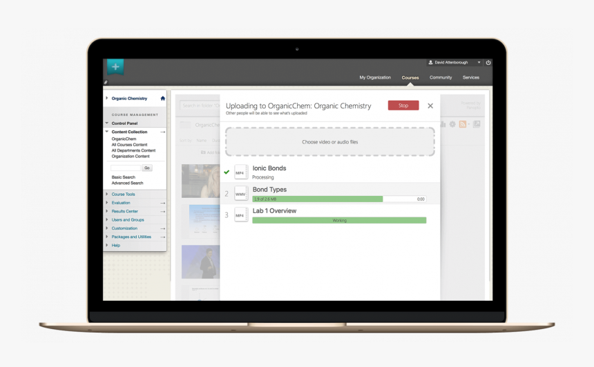Panopto S Blackboard Integration Enables You To Automatically - Google Analytics Mock Up, HD Png Download
