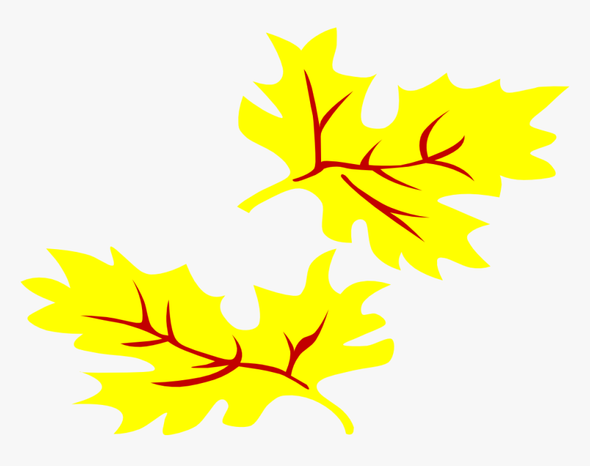 2012 October 04 Xochi - Fall Leaf Drawing Png, Transparent Png