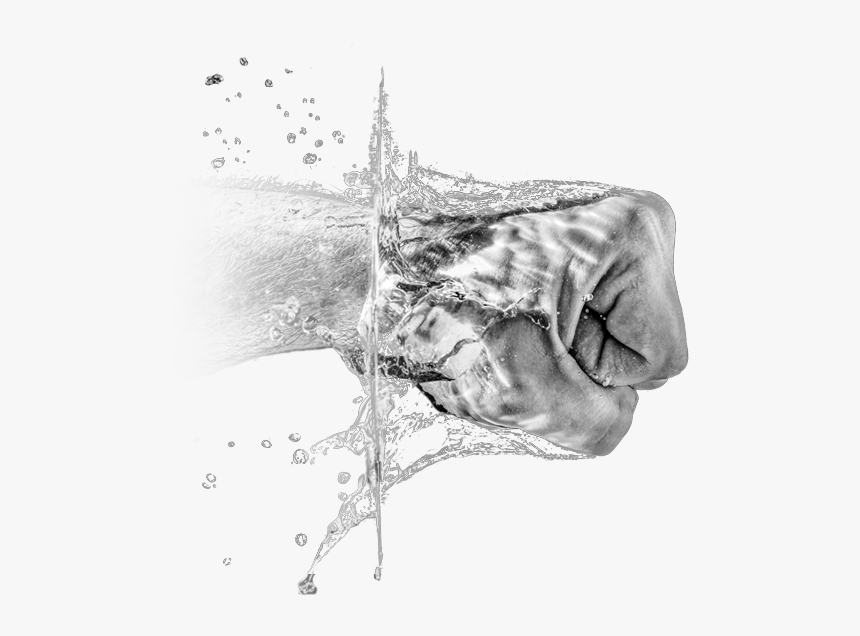 Sketch, HD Png Download