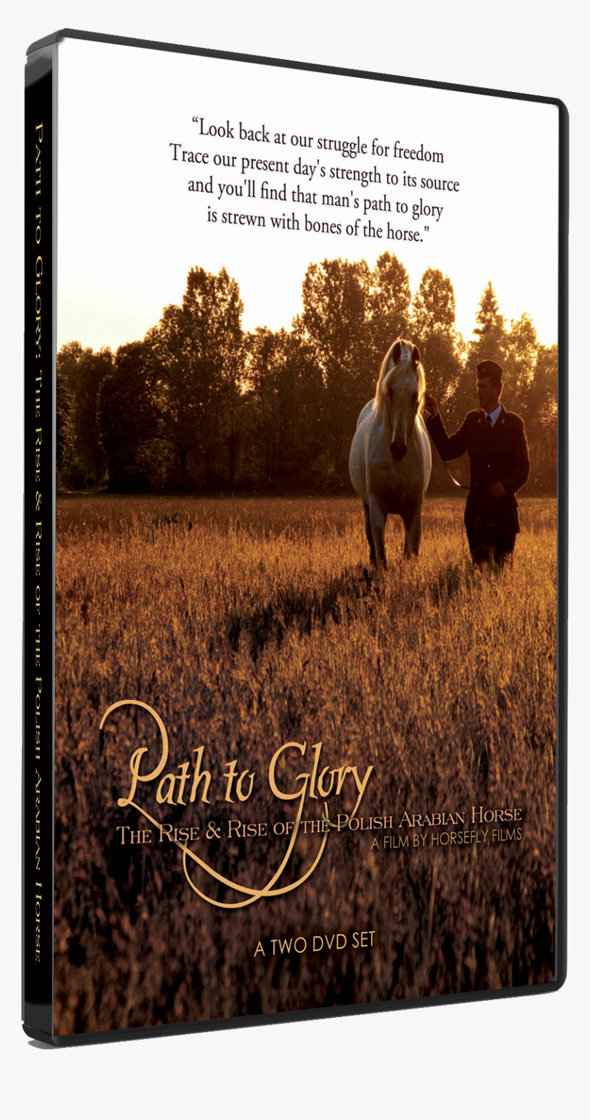 Ptg Dvd Case Image, HD Png Download