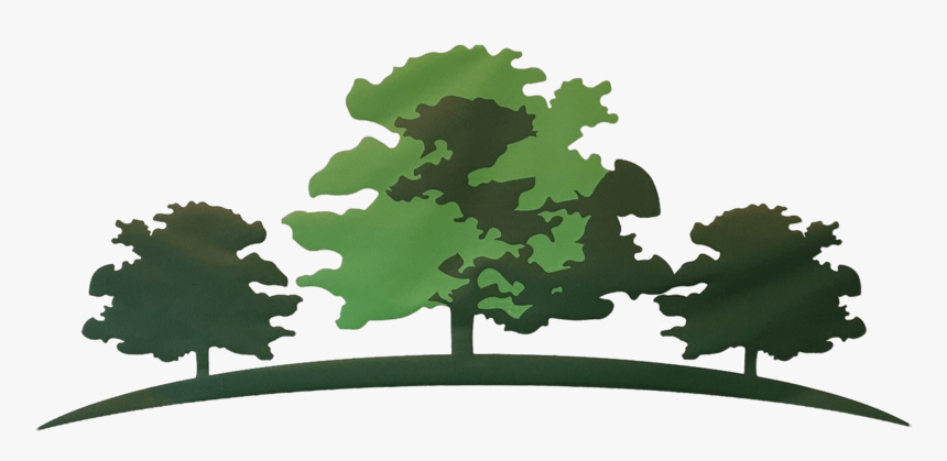 Home - Mossy Cup Oak, HD Png Download