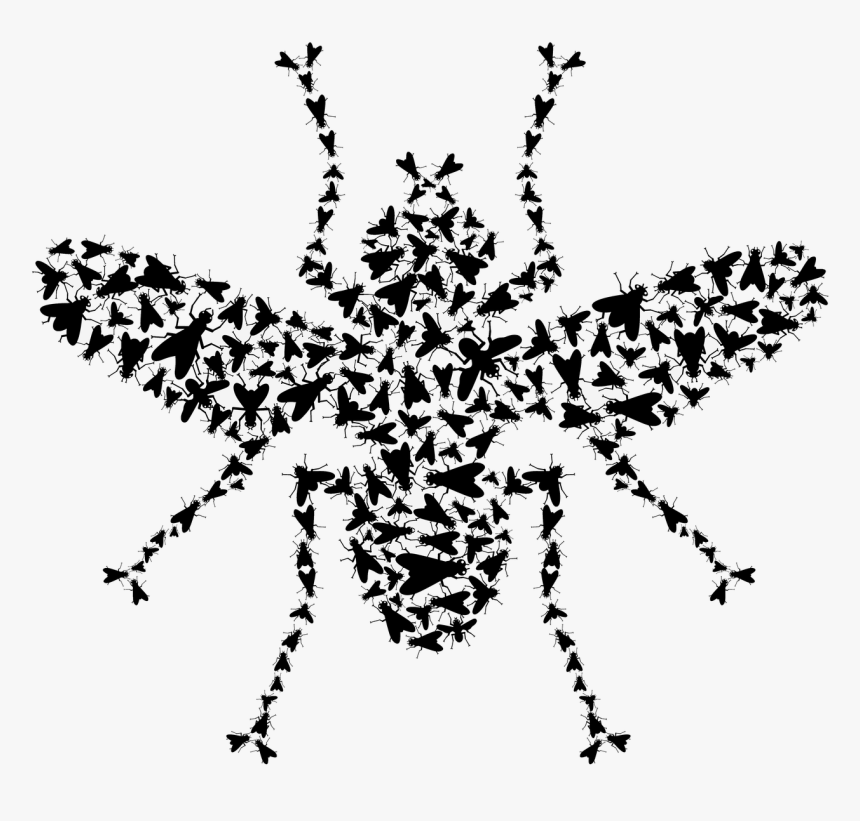 Insect, HD Png Download