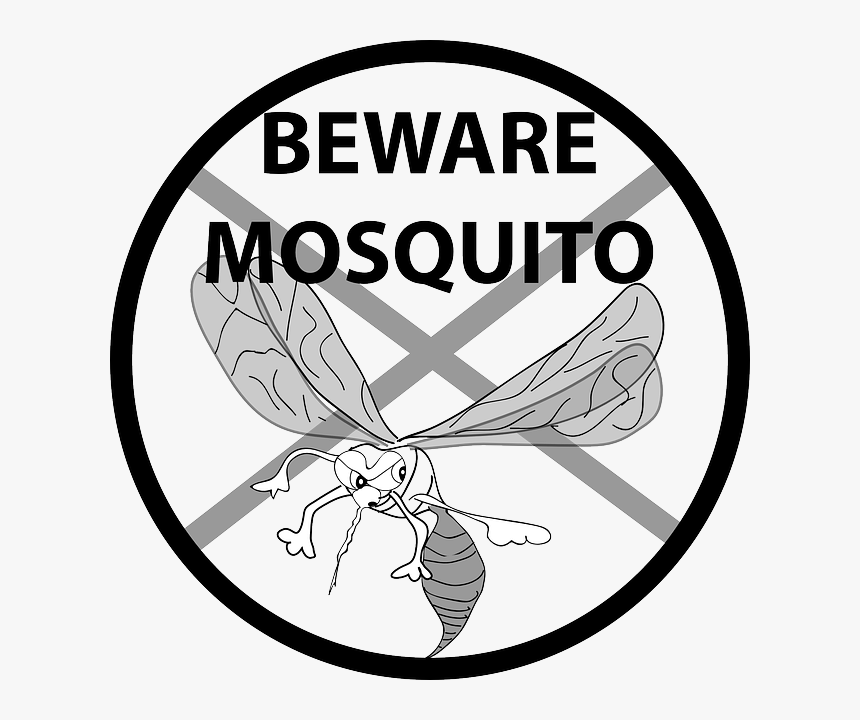 Drawing Of Mosquito Disease, HD Png Download