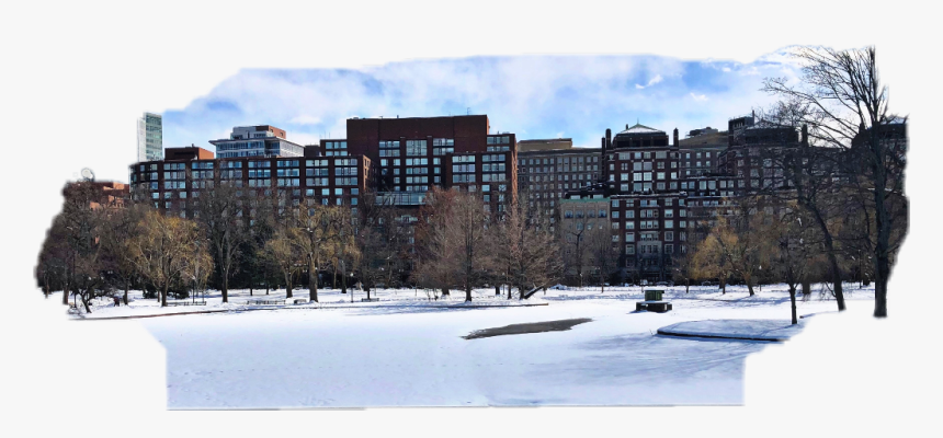 #city #view - Pond, HD Png Download