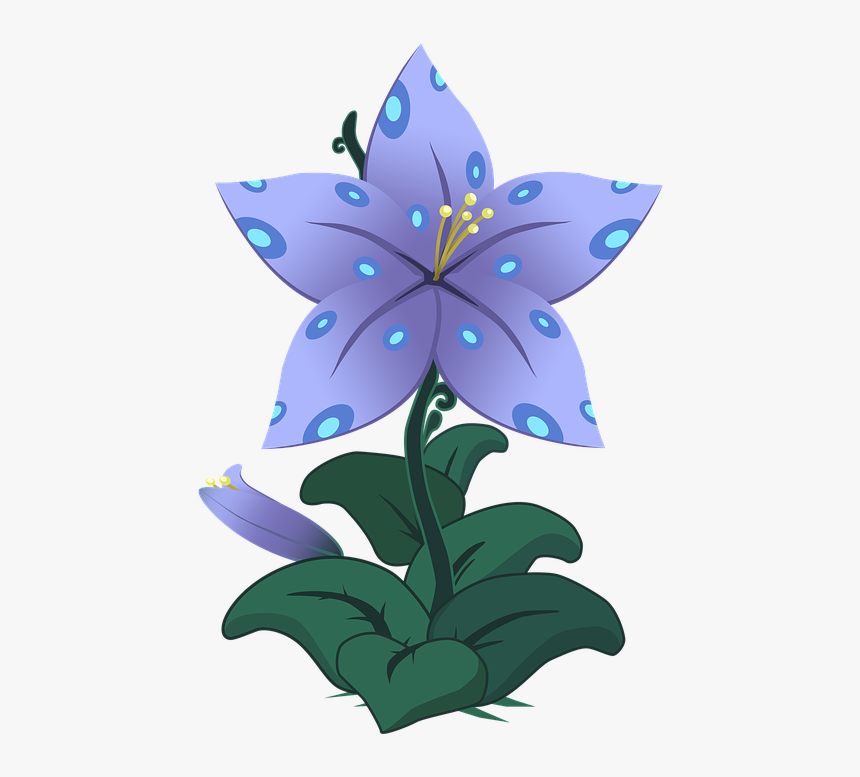 Flowers, Lili, Plant, Flower - Planta Com Flores Png, Transparent Png