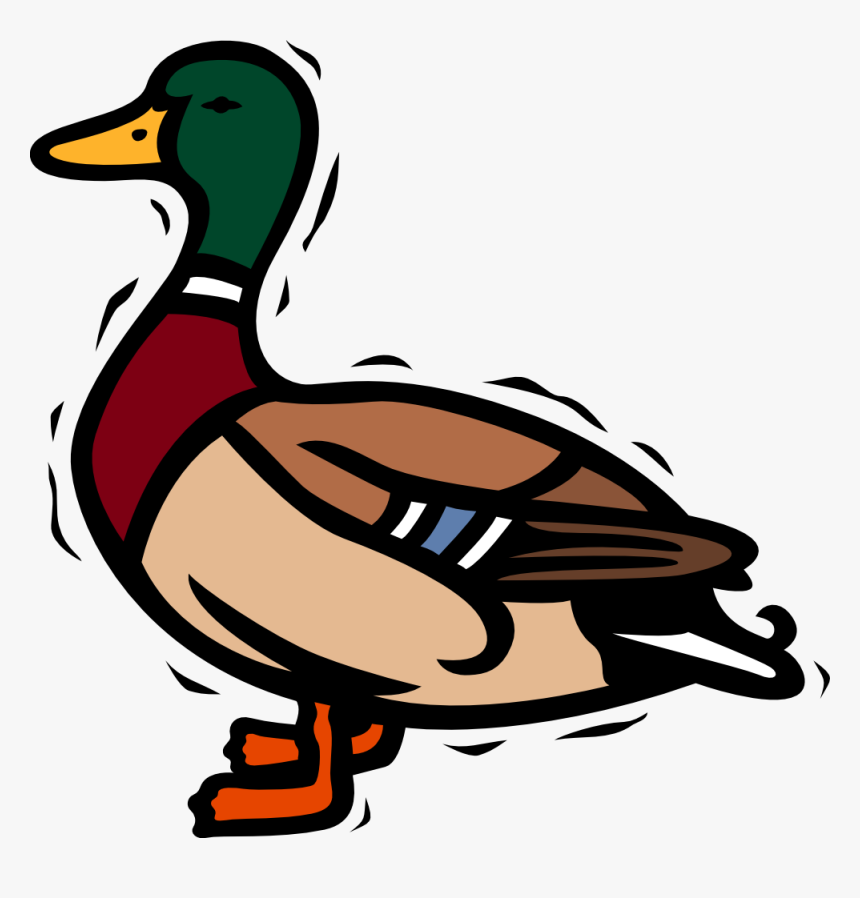 Transparent Ducks Clipart - Clipart Duck, HD Png Download