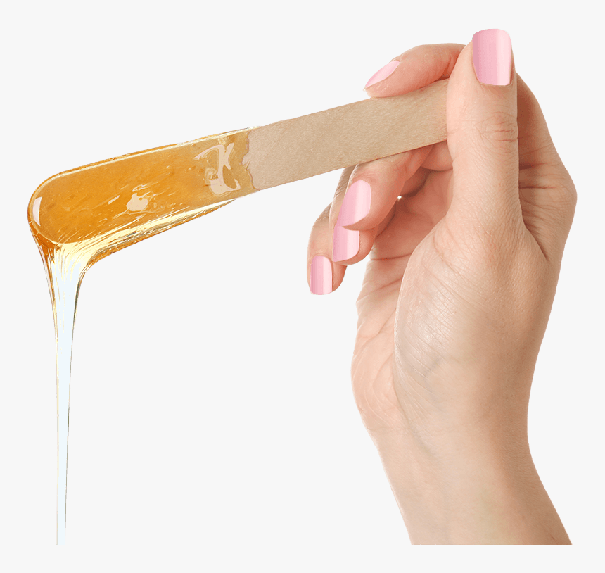 Transparent Waxing Png - Plywood, Png Download