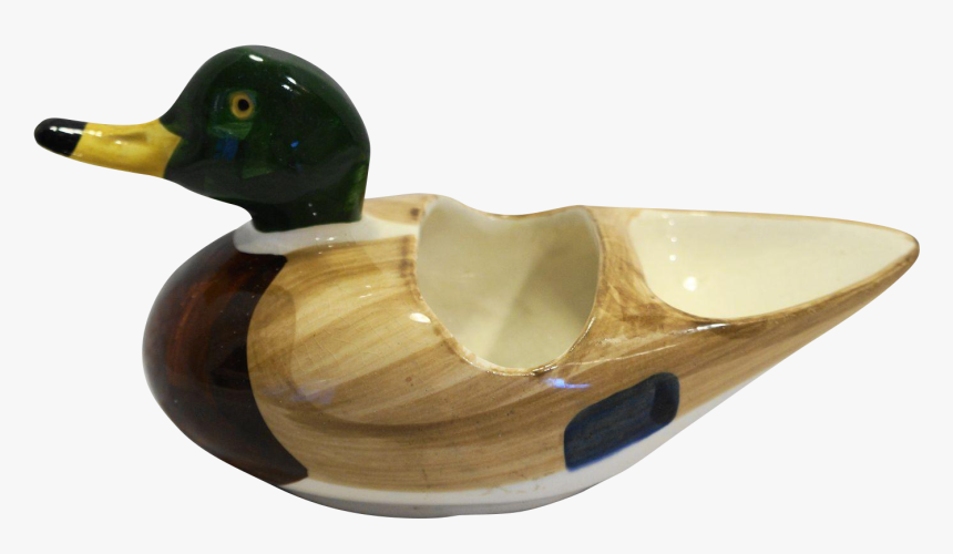 Mallard, HD Png Download