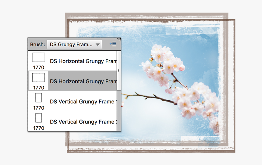 Cherry Blossom, HD Png Download