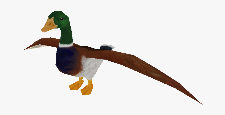Download Zip Archive - Mallard, HD Png Download