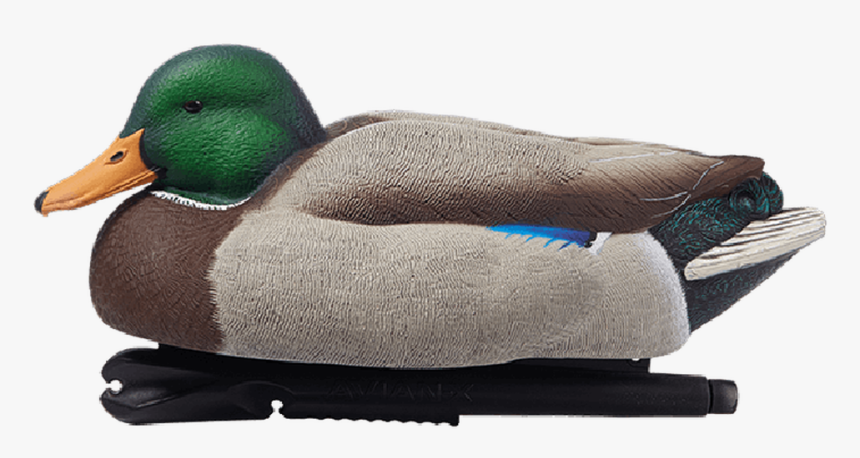 Avian-x Foam Filled Oversized Mallard 6 Pack - Avian X Oversized Mallards, HD Png Download