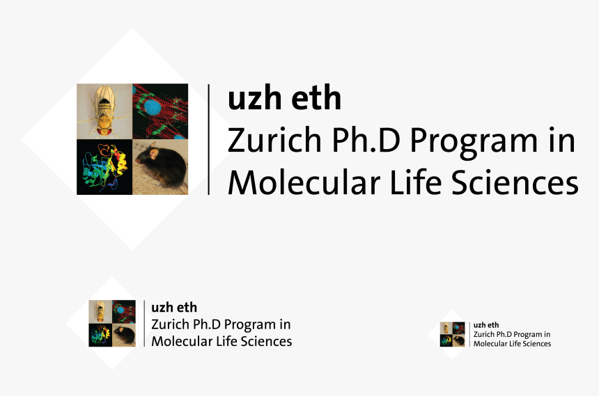 Transparent Mls Png - Molecular Life Sciences Uzh, Png Download