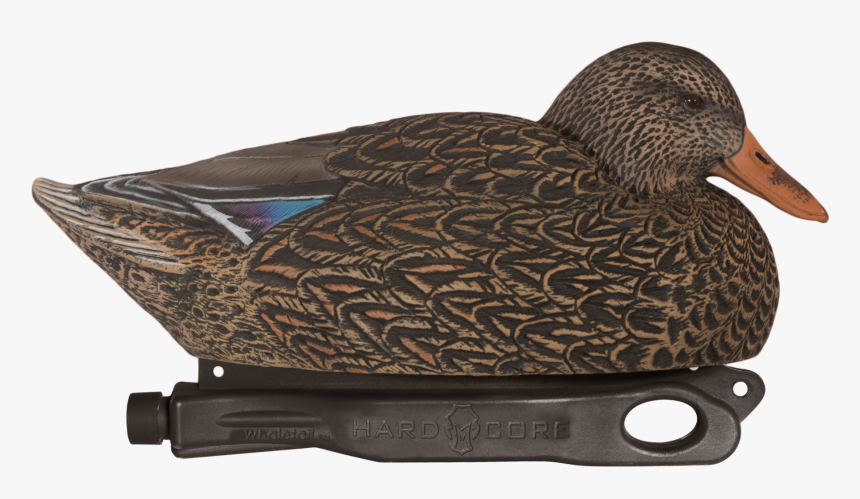 Rugged Magnum Mallard Hen Floater - Mallard, HD Png Download