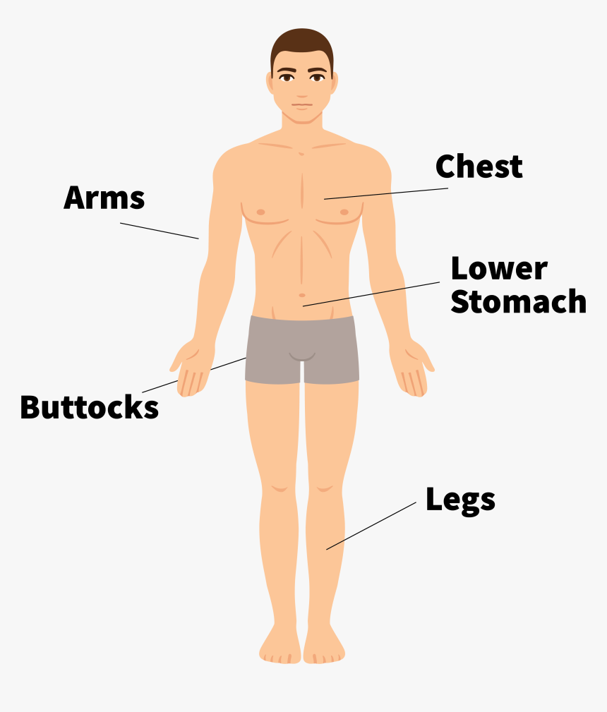 Barechested, HD Png Download