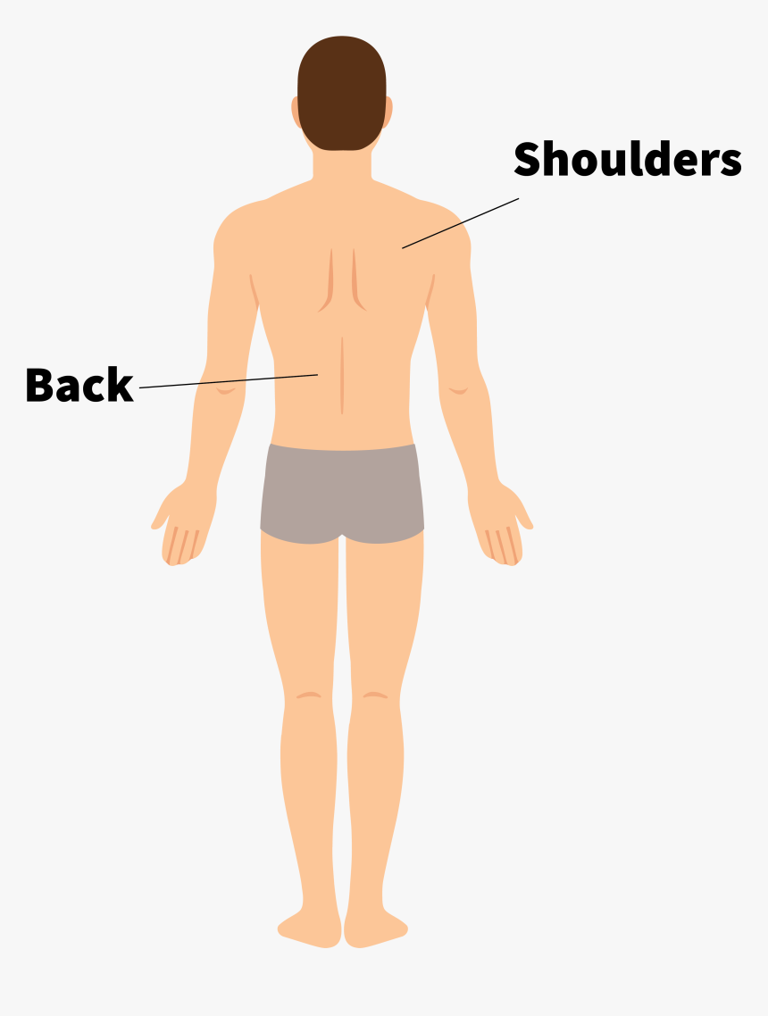 Standing, HD Png Download