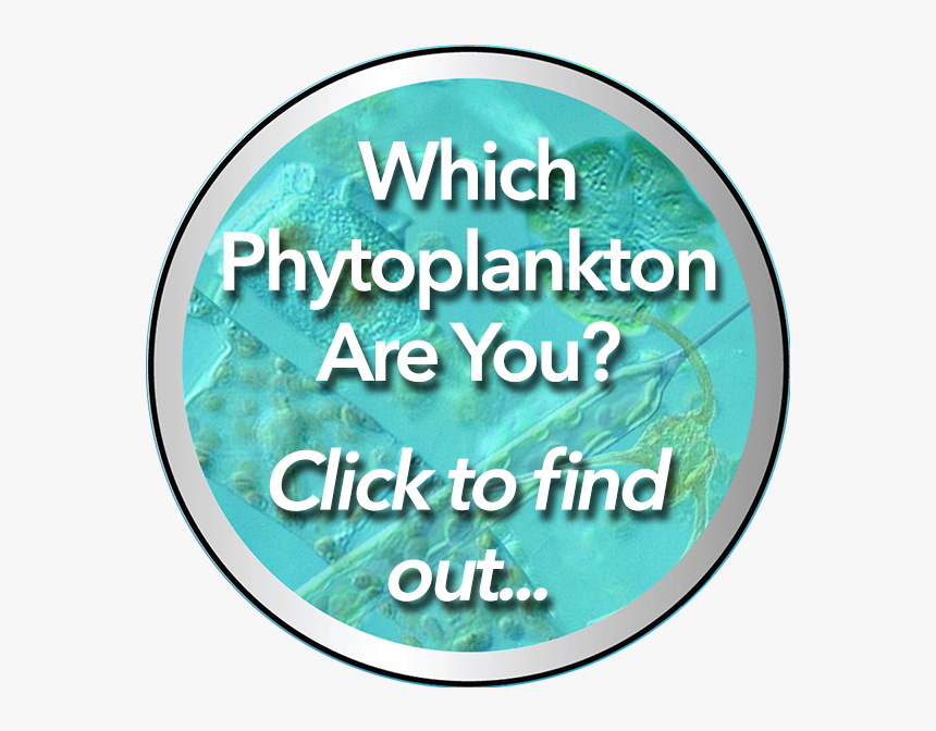 Phytoplankton Quiz Emblem - Circle, HD Png Download