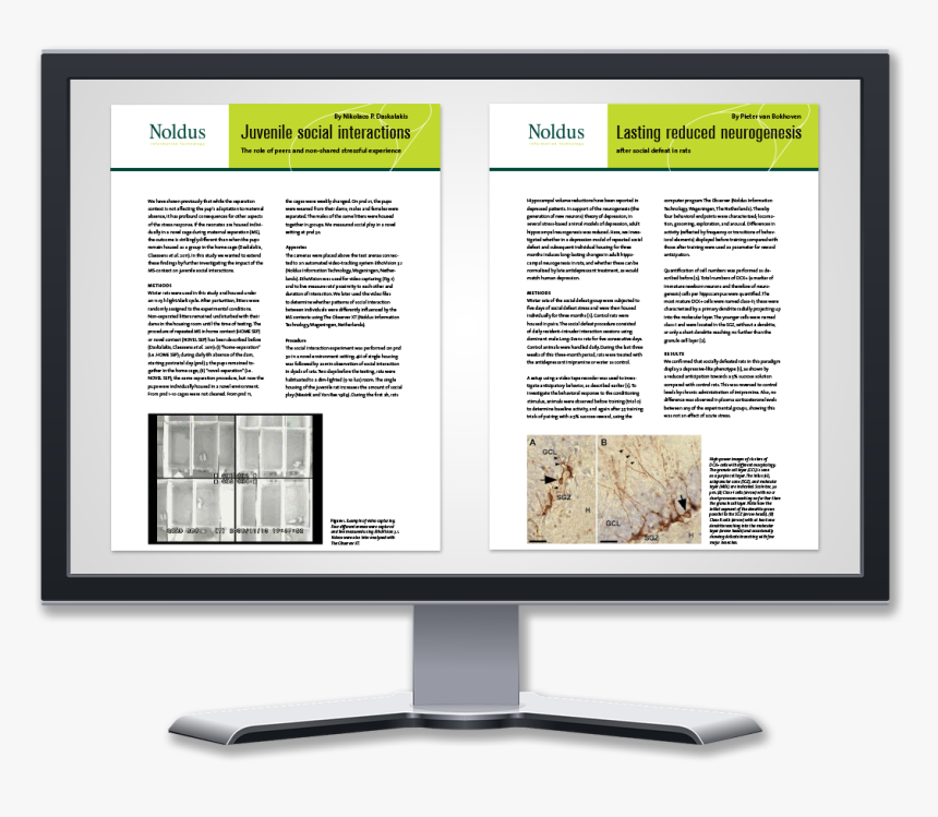Computer Monitor, HD Png Download